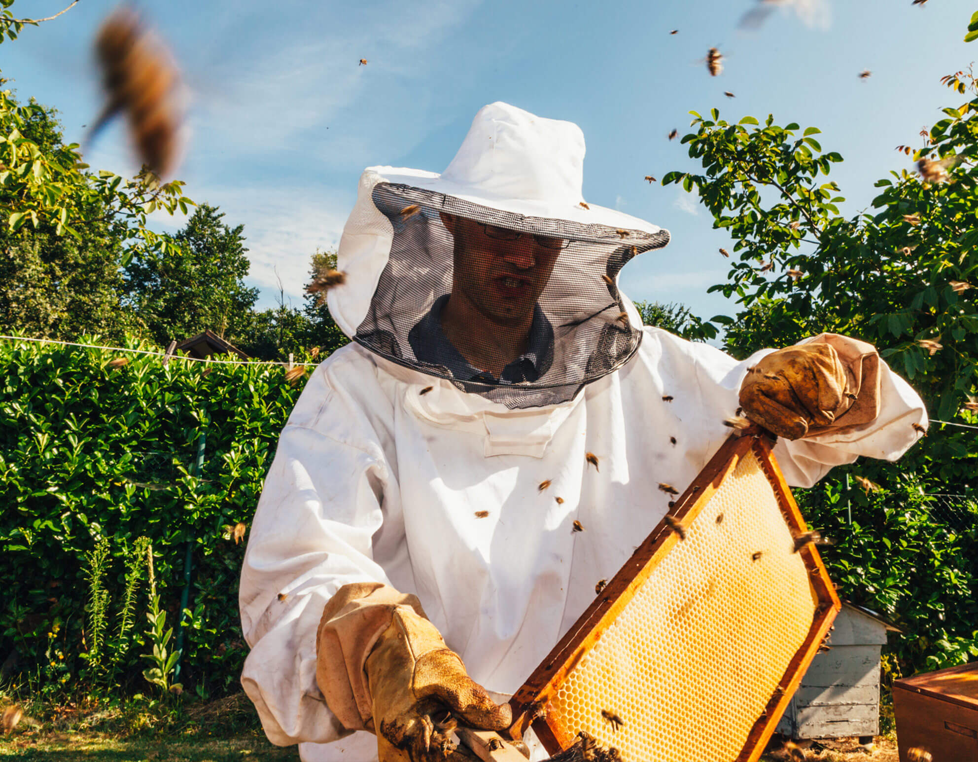 Un nouveau rucher pour les butineurs